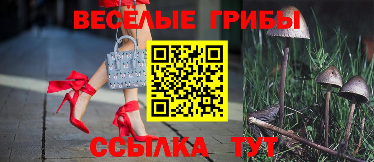 Камень-на-Оби  Галлюциногенные грибы Cubensis  Вход с VPN 
